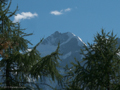 Blick auf den Biancograt des Piz Bernina