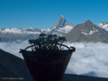 Blick auf das Matterhorn von der Domhütte